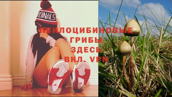 скорость Алексин