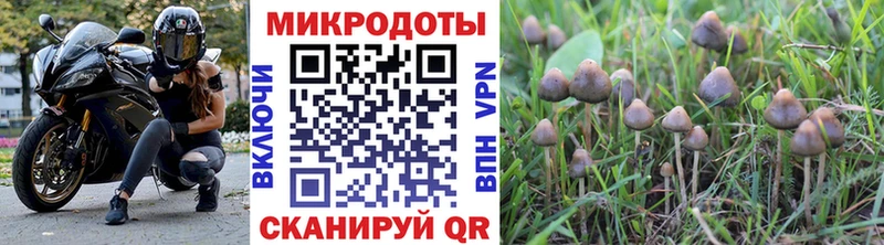 где найти наркотики  Юрьевец  Галлюциногенные грибы Magic Shrooms 